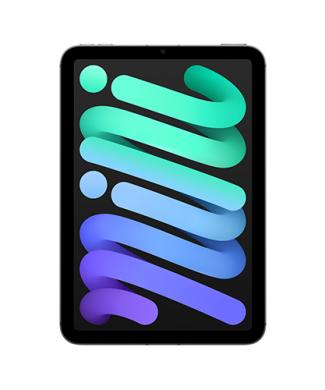 The iPad mini viewed from the front.