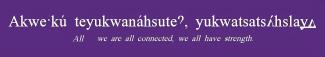 oneida language saying "All we are all connected we all have strength"