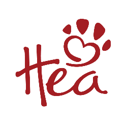 Happily ever after logo
