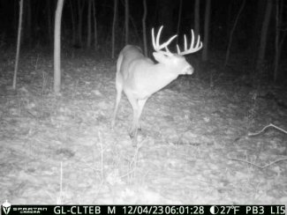 buck on spartan camera