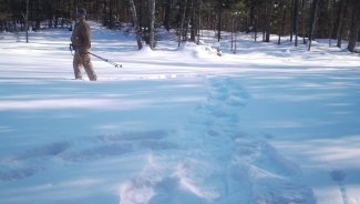 person walking in snow