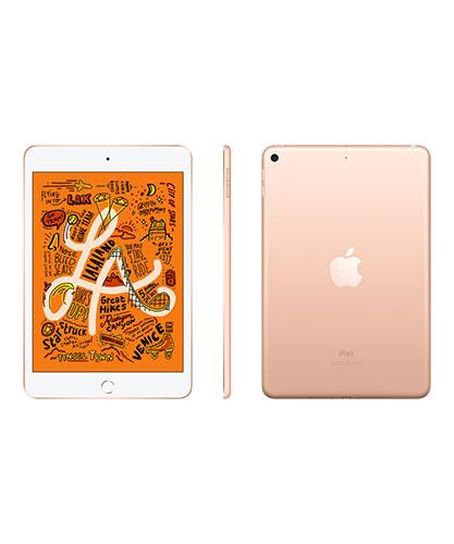 iPadmini Gold front and back