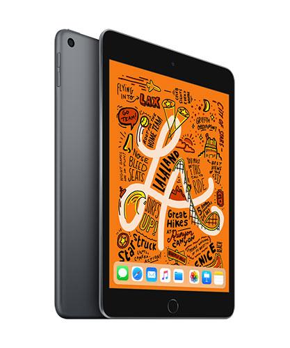 iPadmini Space Gray
