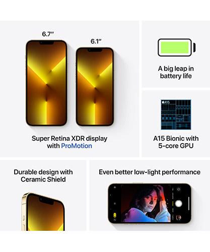 iPhone13ProMax Gold