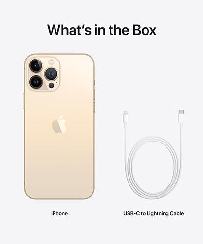 iPhone13ProMax Gold box