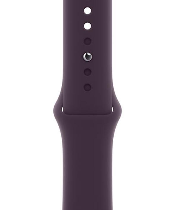 Apple Elderberry Band