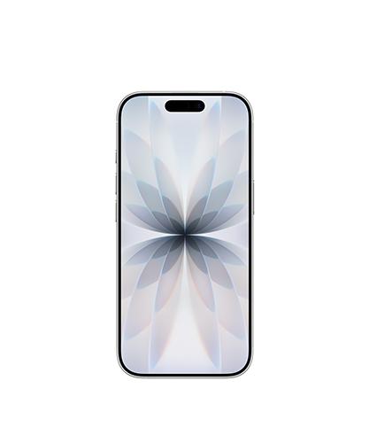 The iPhone 17 viewed from the front.