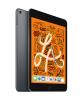 iPadmini Space Gray