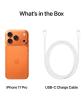 What's in the Box for the iPhone 17 Pro.