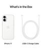 What's in the box: iPhone 17.